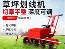 點(diǎn)擊查看詳細(xì)信息<br>標(biāo)題：草皮劃線(xiàn)機(jī) 閱讀次數(shù)：2999